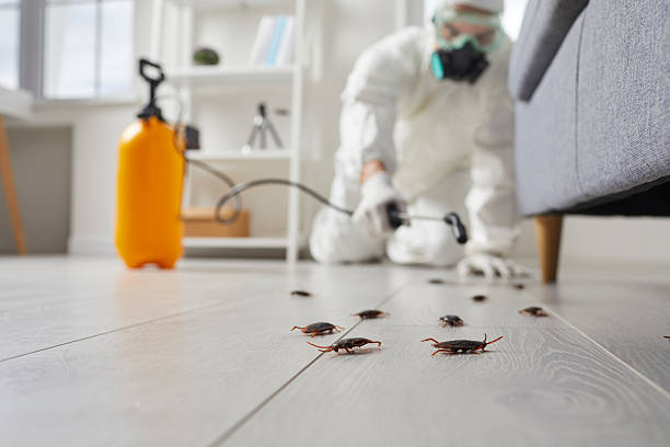 Commercial Kitchen Cockroach Control in Craigsville